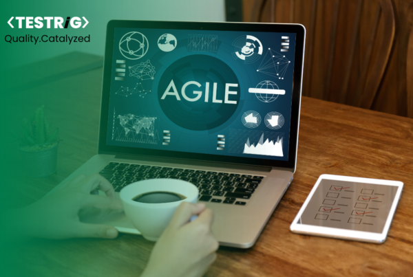 A Beginner's Guide To Agile Testing Process